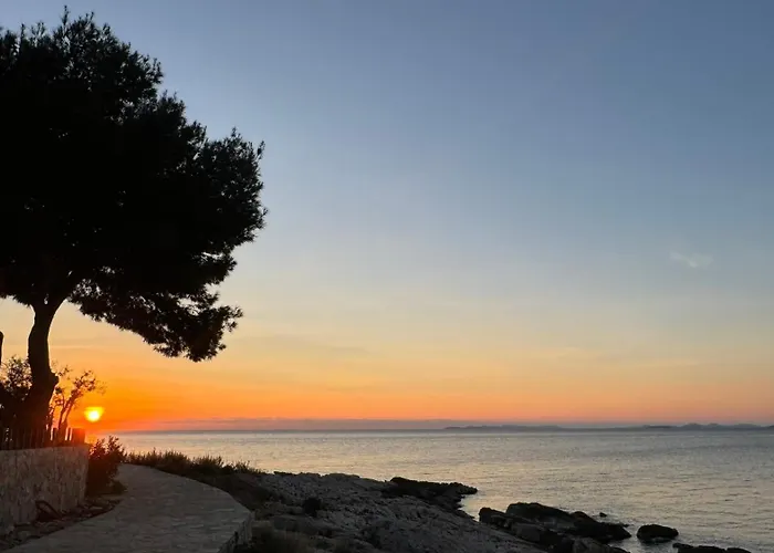 Kristina 프리모스턴